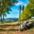 Nordic walking: Jak schudnąć i poprawić zdrowie?
